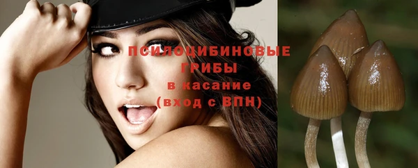 a pvp Володарск