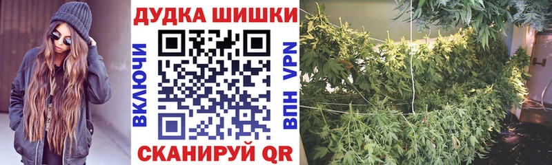 Бошки Шишки план  дарк нет состав  Лахденпохья 